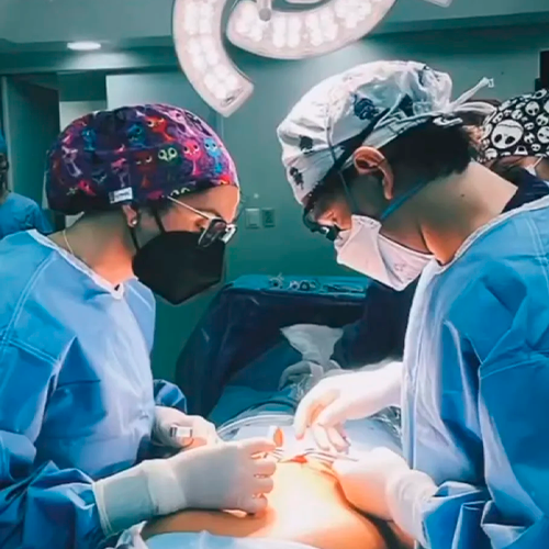 Galería de imagen 1