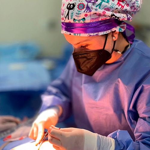 Galería de imagen 5